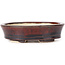 Oval brown bonsai pot by Seto - 105 x 85 x 30 mm