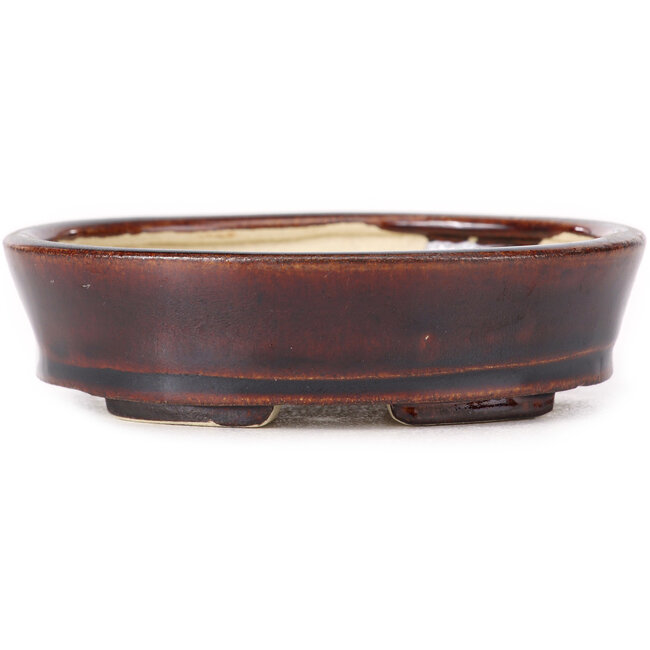 Pot à bonsaï ovale marron par Seto - 105 x 85 x 30 mm