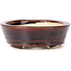 Vaso bonsai ovale marrone di Seto - 105 x 85 x 30 mm