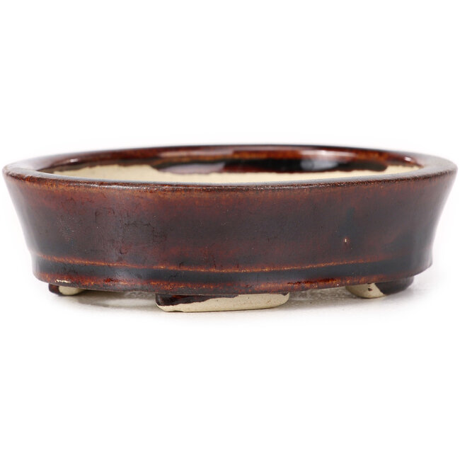 Maceta de bonsái marrón ovalada de Seto - 105 x 85 x 30 mm