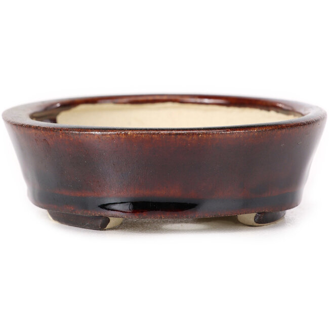 Vaso bonsai ovale marrone di Seto - 105 x 85 x 30 mm