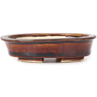 Seto 110 mm oval brown bonsai pot by Seto, Japan