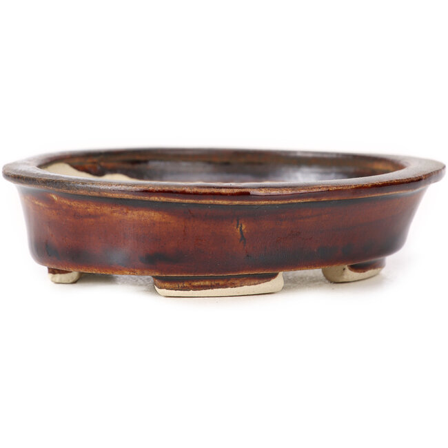 Oval brown bonsai pot by Seto - 110 x 95 x 30 mm