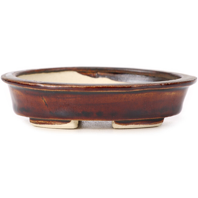 Pot à bonsaï ovale marron par Seto - 110 x 95 x 30 mm