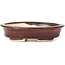 Vaso bonsai ovale marrone di Seto - 110 x 95 x 30 mm