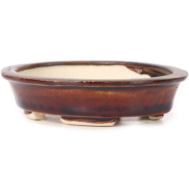 Pot à bonsaï ovale marron par Seto - 110 x 95 x 30 mm