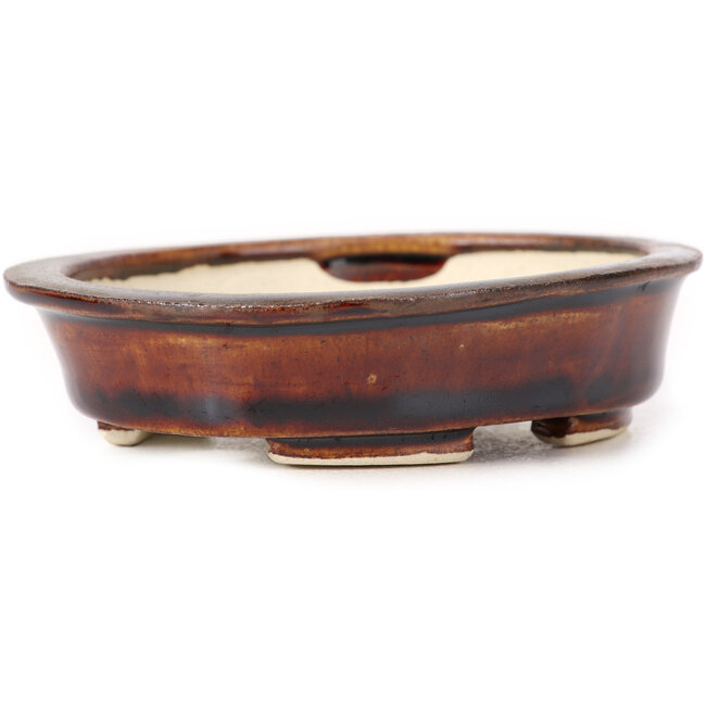 Pot à bonsaï ovale marron par Seto - 110 x 95 x 30 mm