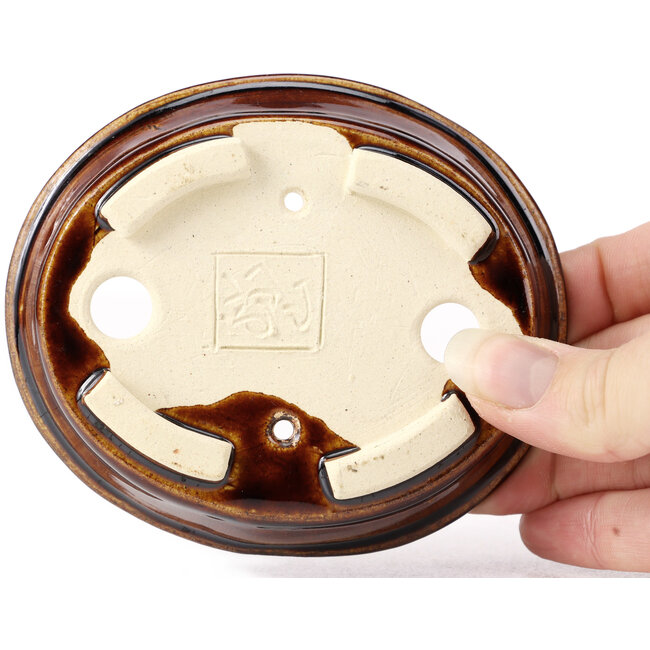 Pot à bonsaï ovale marron par Seto - 110 x 95 x 30 mm