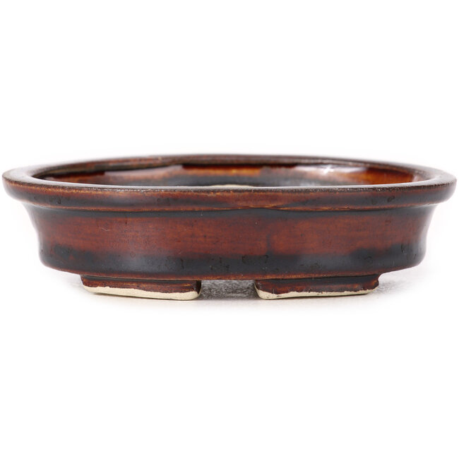 Pot à bonsaï ovale marron par Seto - 110 x 90 x 30 mm