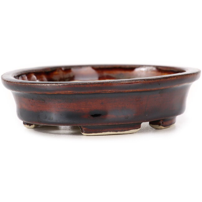 Maceta de bonsái marrón ovalada de Seto - 110 x 90 x 30 mm