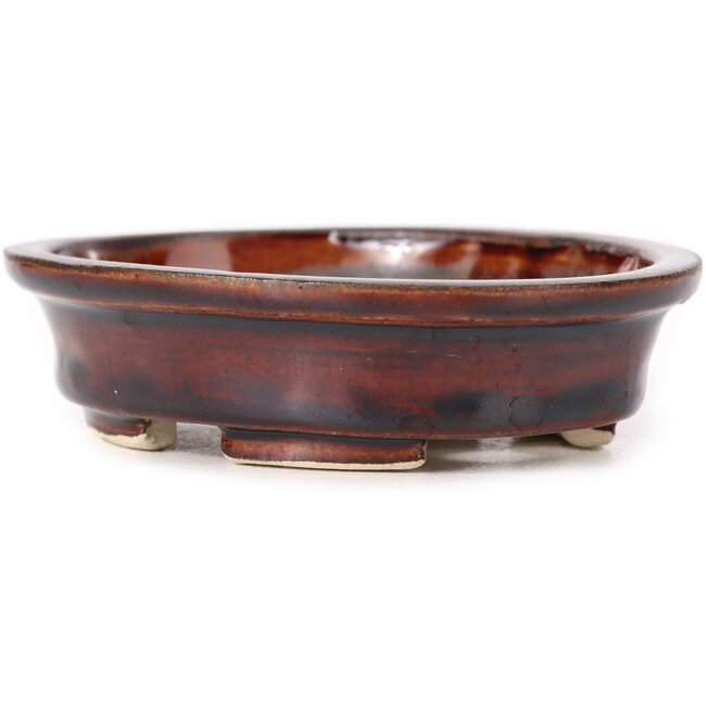 Maceta de bonsái marrón ovalada de Seto - 110 x 90 x 30 mm