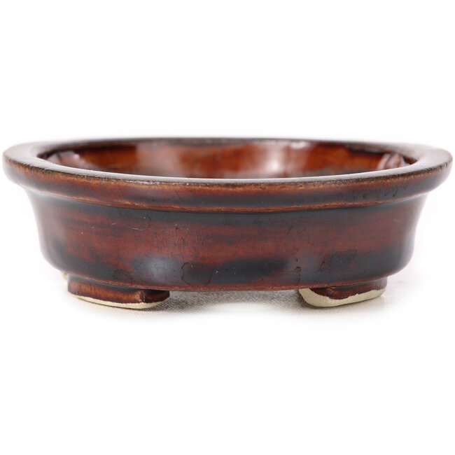 Vaso bonsai ovale marrone di Seto - 110 x 90 x 30 mm