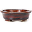 Pot à bonsaï ovale marron par Seto - 110 x 90 x 30 mm