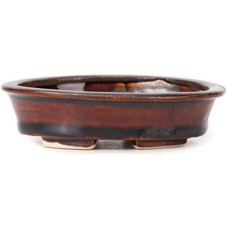 Seto 110 mm oval brown bonsai pot by Seto, Japan