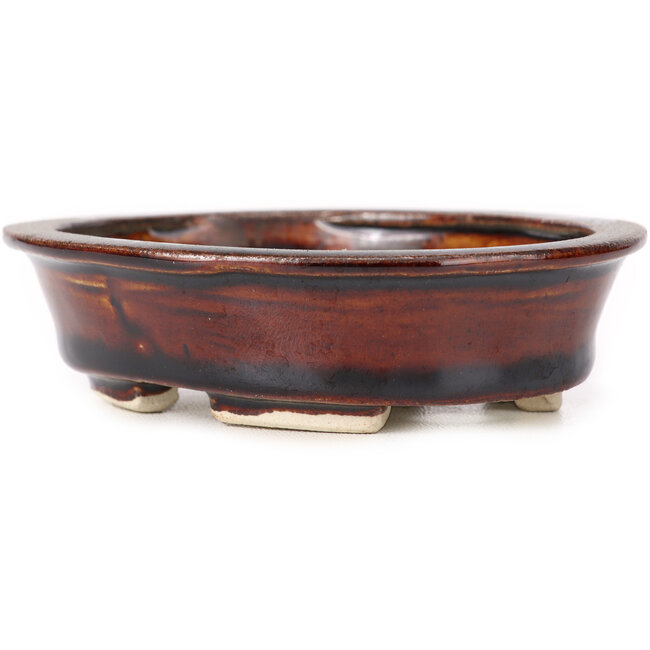 Pot à bonsaï ovale marron par Seto - 110 x 95 x 30 mm