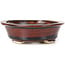 Oval brown bonsai pot by Seto - 110 x 95 x 30 mm