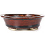 Vaso bonsai ovale marrone di Seto - 110 x 95 x 30 mm