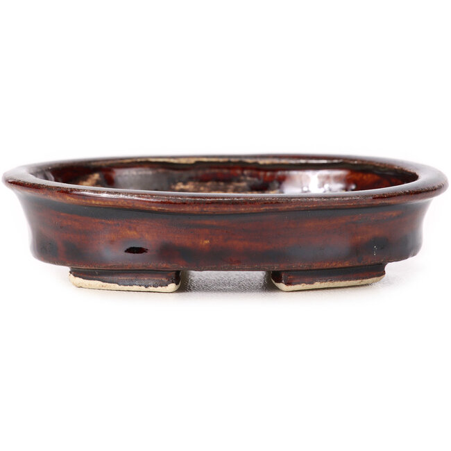 Vaso bonsai ovale marrone di Seto - 105 x 85 x 25 mm