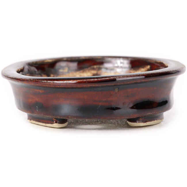 Maceta de bonsái marrón ovalada de Seto - 105 x 85 x 25 mm