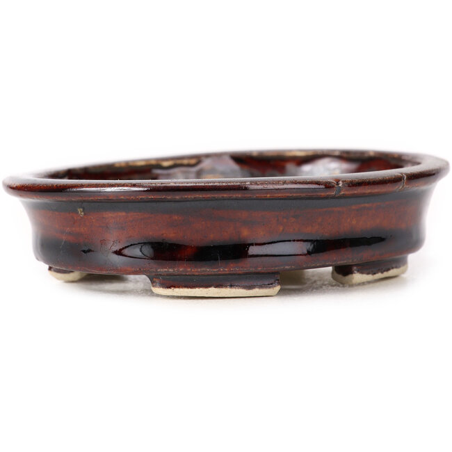 Pot à bonsaï ovale marron par Seto - 105 x 85 x 25 mm