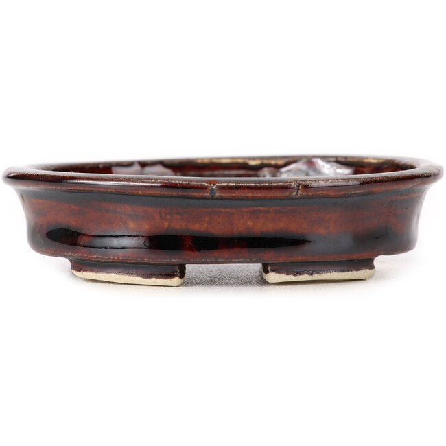 Maceta de bonsái marrón ovalada de Seto - 105 x 85 x 25 mm