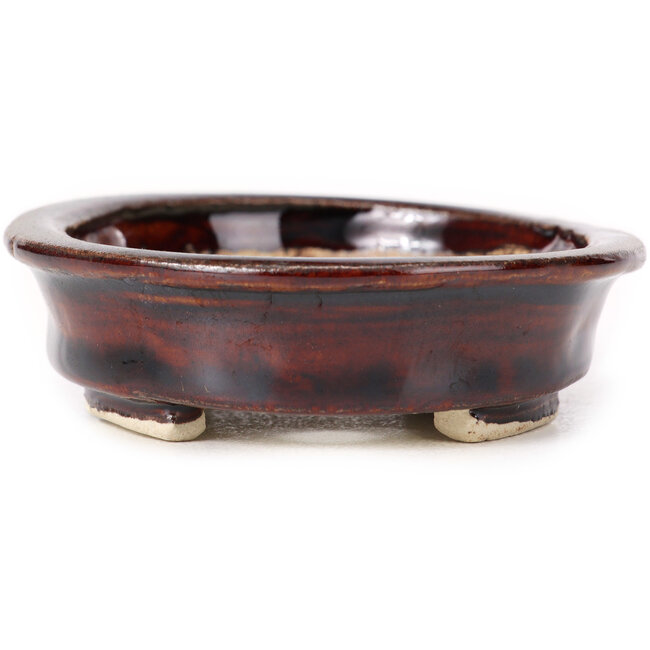 Pot à bonsaï ovale marron par Seto - 105 x 85 x 25 mm