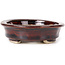 Oval brown bonsai pot by Seto - 105 x 85 x 25 mm