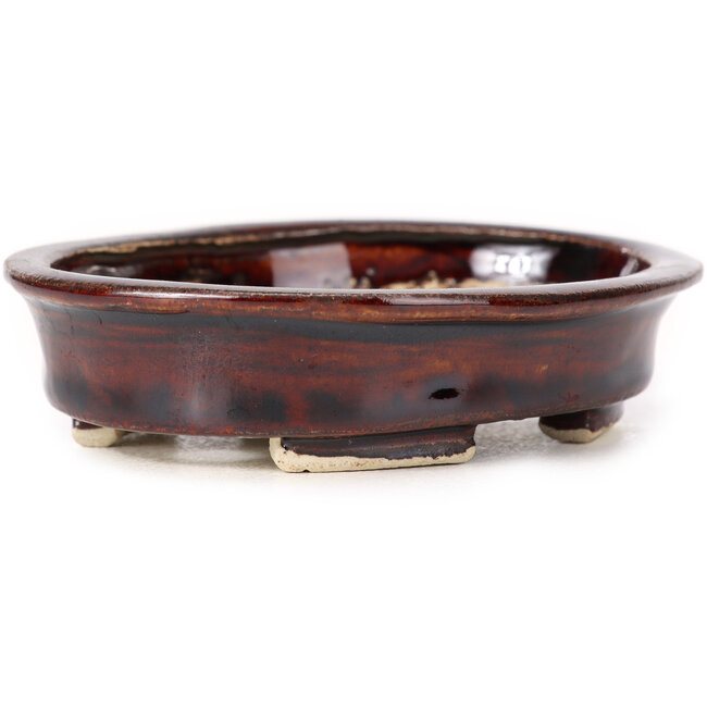 Maceta de bonsái marrón ovalada de Seto - 105 x 85 x 25 mm