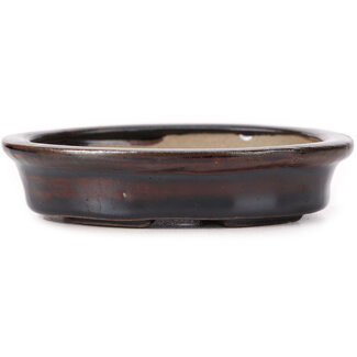 Seto 105 mm oval brown bonsai pot by Seto, Japan