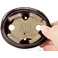 Pot à bonsaï ovale marron par Seto - 105 x 85 x 25 mm
