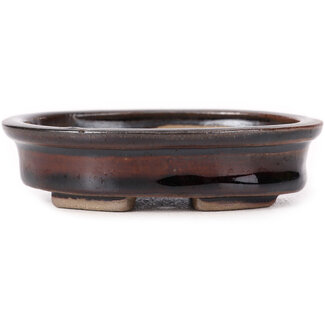 Seto 100 mm oval brown bonsai pot by Seto, Japan