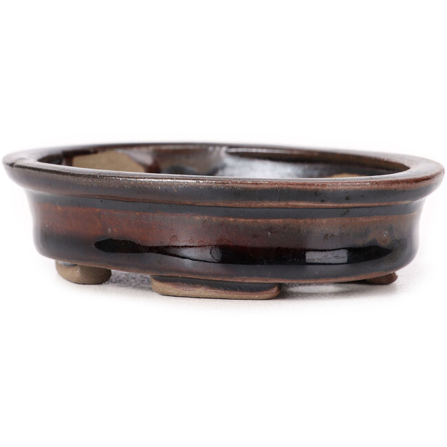 Pot à bonsaï ovale marron par Seto - 100 x 85 x 25 mm