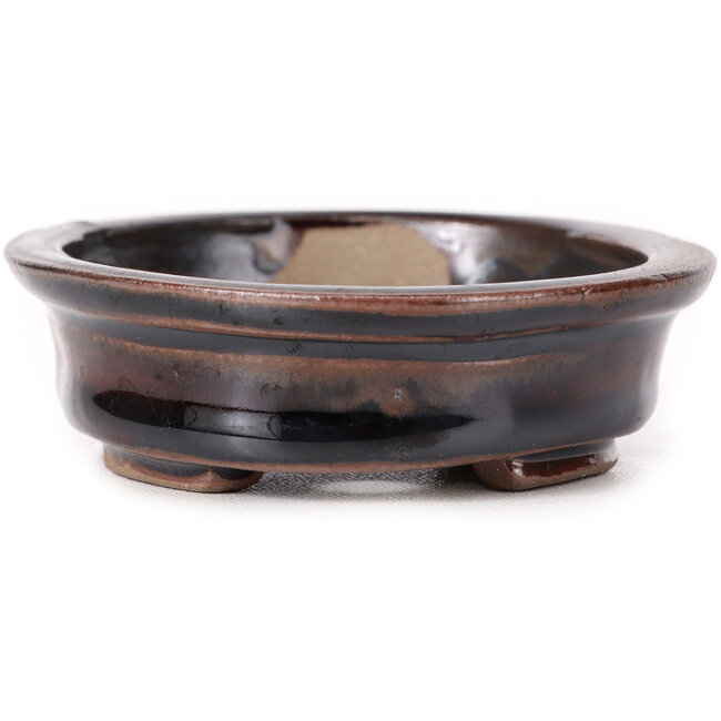 Maceta de bonsái marrón ovalada de Seto - 100 x 85 x 25 mm