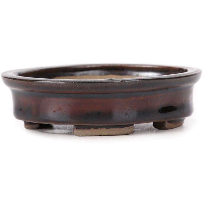 Pot à bonsaï ovale marron par Seto - 100 x 85 x 25 mm