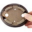 Pot à bonsaï ovale marron par Seto - 100 x 85 x 25 mm