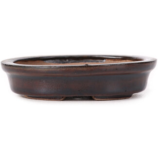 Seto 100 mm oval brown bonsai pot by Seto, Japan