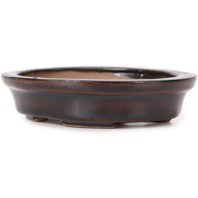 Vaso bonsai ovale marrone di Seto - 100 x 90 x 25 mm