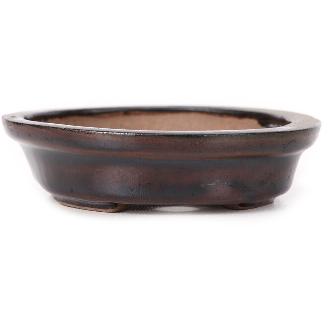 Vaso bonsai ovale marrone di Seto - 100 x 90 x 25 mm