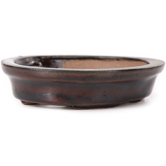 Pot à bonsaï ovale marron par Seto - 100 x 90 x 25 mm