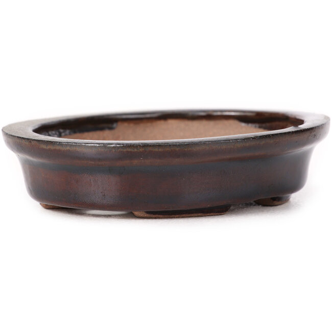 Maceta de bonsái marrón ovalada de Seto - 100 x 90 x 25 mm