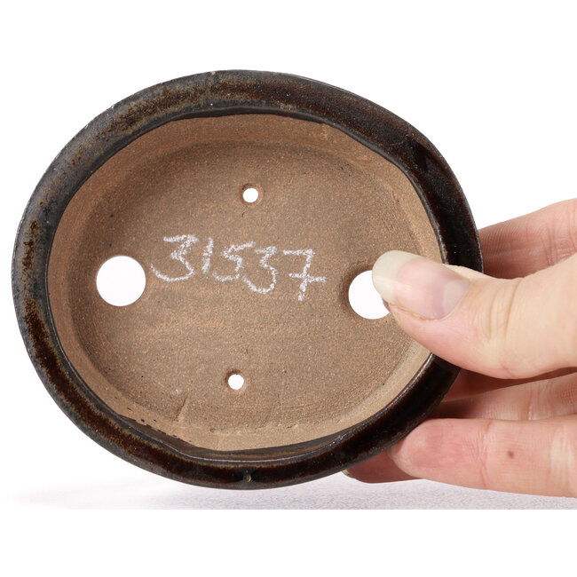 Pot à bonsaï ovale marron par Seto - 100 x 90 x 25 mm