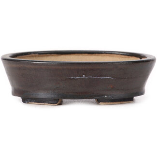 Seto 100 mm oval brown bonsai pot by Seto, Japan