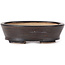 Vaso bonsai ovale marrone di Seto - 100 x 80 x 30 mm
