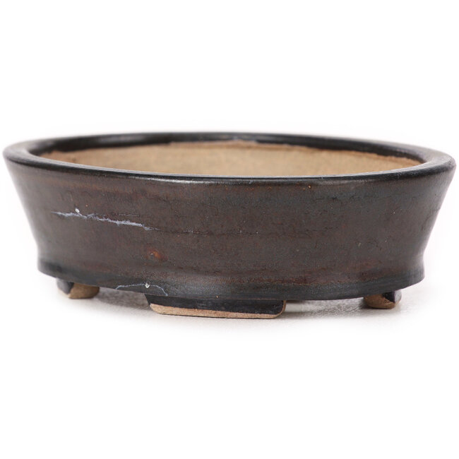 Pot à bonsaï ovale marron par Seto - 100 x 80 x 30 mm
