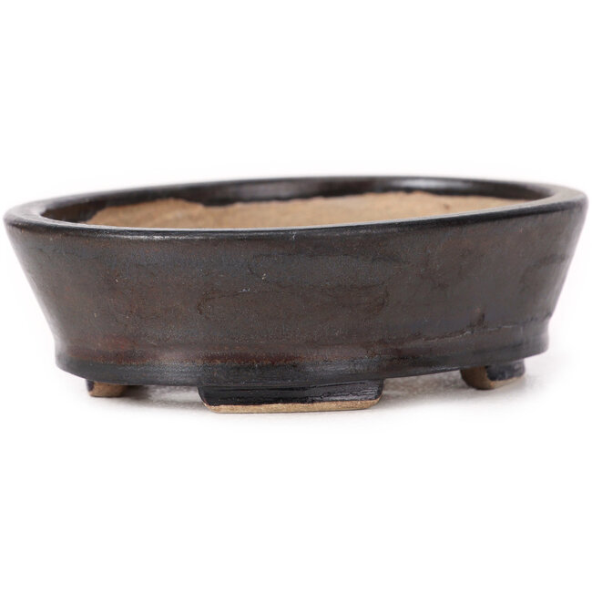 Pot à bonsaï ovale marron par Seto - 100 x 80 x 30 mm