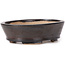 Oval brown bonsai pot by Seto - 100 x 80 x 30 mm