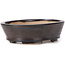 Vaso bonsai ovale marrone di Seto - 100 x 80 x 30 mm