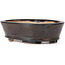 Oval brown bonsai pot by Seto - 100 x 80 x 30 mm