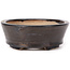 Oval brown bonsai pot by Seto - 100 x 80 x 30 mm