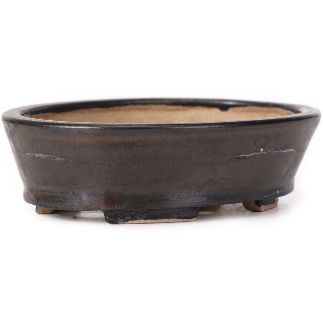 Pot à bonsaï ovale marron par Seto - 100 x 80 x 30 mm